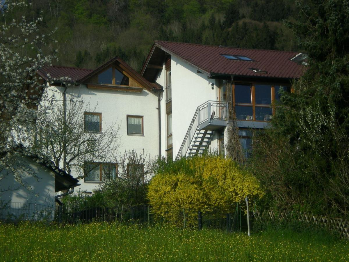 Ferienappartement Donautal Obernzell Extérieur photo